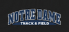 Track & Field Decal